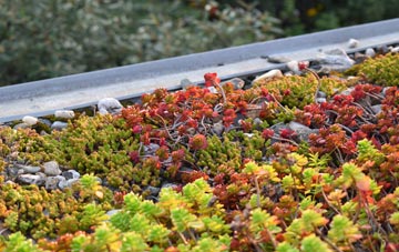 the cost of Walpole Cross Keys green roof installation