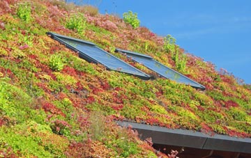 Walpole Cross Keys living roof systems