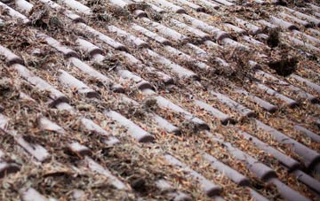 Walpole Cross Keys roof cleaning companies